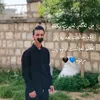 reboalmani01
