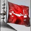 ali313.110