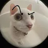 minji.minnn