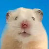 _mthuuw_