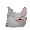 _lfrog__anonim_