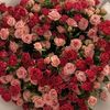 shouq_97e