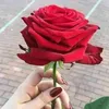userj66m203v9y