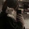 wexo.3