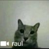 skweej_