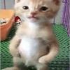 hiiiiiiiiiiiiiiiijjjiiii