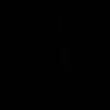 llm.110