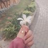 hamna....0