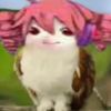 ledwicke
