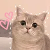 lokipotato_