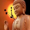 user2391221683765