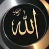 abed555