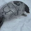 bodoimatdat