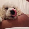 yo.myla