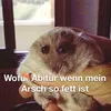 dinkeldoedel17