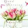 bhupindersingh71977
