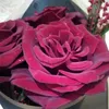 its_me_queen701