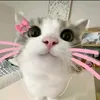 meowkk143