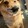 userf8arr7bsuk