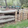 josegavilanes3