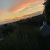 tomfrancis6704