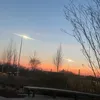 mollie__4