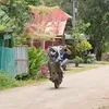 jrespinosa7