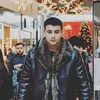 lion_et_sa_lionne