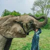 ElephantBoy