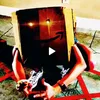 funnycat301