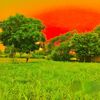 malik.saim721