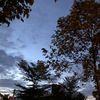 zoya_ali_12