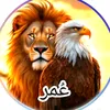 omarmajed133