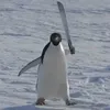 happytobether3