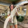 The Reptile Zoo