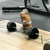 _anh.229_