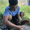 denn2tuoi