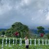 titi_d_1205