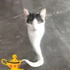 mogimen_