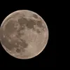 moonlight1979ch