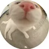 sofiasarmyy