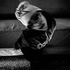 mozany_alm7