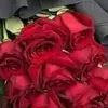 user46931981