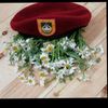 agdam695