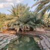 ahmaed_alfalki