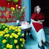 lin_tlinh
