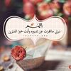 mramohamed