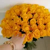 __zalina091082__