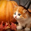 halloween_season4