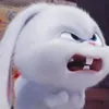 meobabi02
